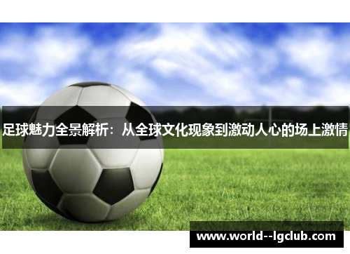 足球魅力全景解析：从全球文化现象到激动人心的场上激情